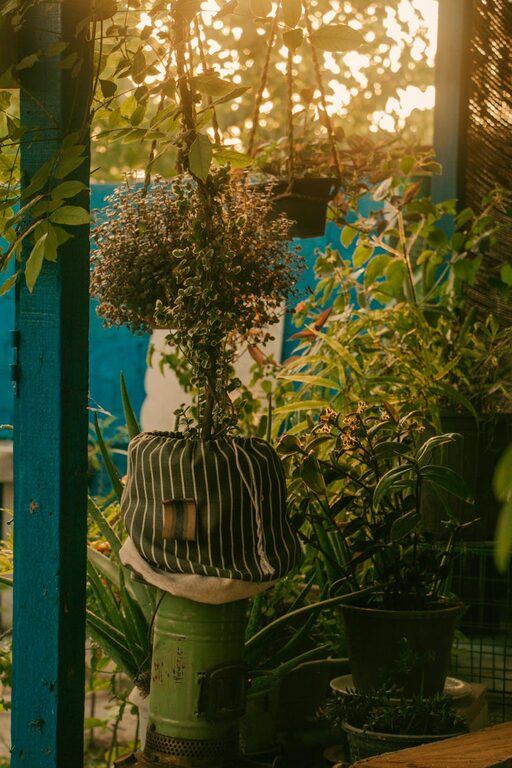 Tips for Creating a Relaxing Home Garden Space